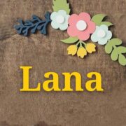 Lana Model